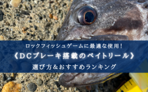 【2024年】ロックフィッシュに適したDCベイトリールおすすめ9選【コスパ最強はどれ?】