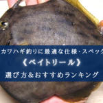【2025年】船カワハギ釣りに特化したリールおすすめ10選【コスパ重視!】