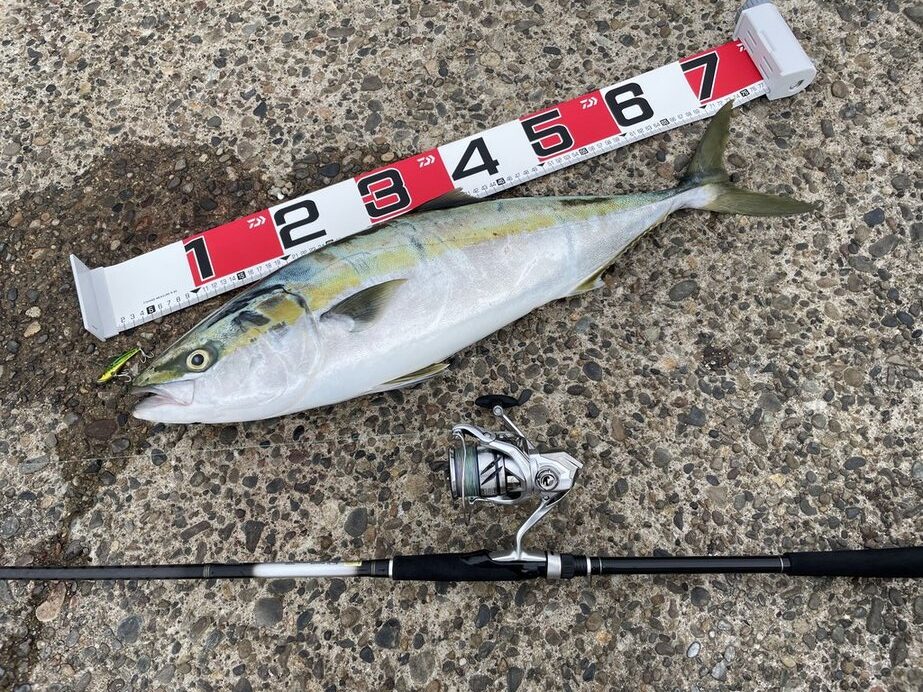 ダイワ シーバスフラット X 86ML / シーバスロッド (D01) (O01) インプレサーフ初心者でもシーバスとヒラメが狙えるシーバスフラット