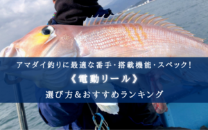 【2024年】アマダイ釣りに適した電動リールおすすめ14選【コスパ重視ランキング!】