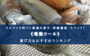 【2024年】スルメイカ釣りに最適な電動リールおすすめ15選【コスパ重視ランキング!】