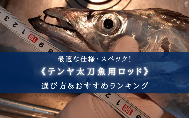 【2024年】太刀魚テンヤ用ロッドの選び方＆おすすめランキング18選【コスパ重視！】