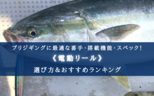 【2025年】ブリジギングの電動リールおすすめ13選【コスパ重視ランキング！】