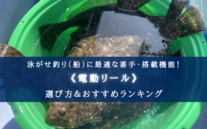 【2024年】泳がせ釣り(船)の電動リールおすすめ13選【コスパ重視ランキング！】