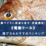 【2024年】鯛サビキ釣りに適した電動リールおすすめ13選【コスパ重視ランキング!】