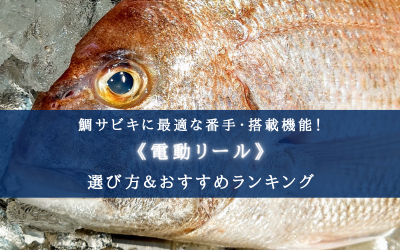 【2023年】鯛サビキ釣りに適した電動リールおすすめ13選【コスパ重視ランキング！】