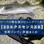 【シーバス専用?】シマノ 23エクスセンスXRの実釣インプレ評価【汎用リールで十分?】