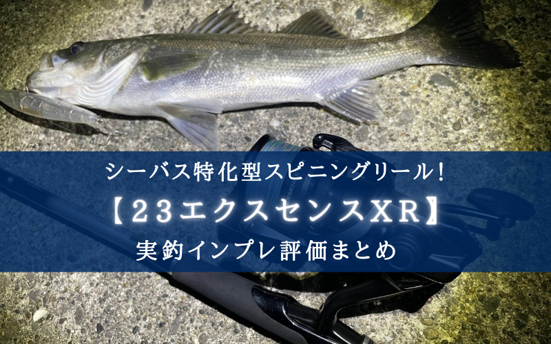 【シーバス専用？】シマノ 23エクスセンスXRの実釣インプレ評価【汎用リールで十分？】