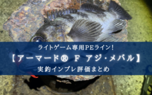 【極細PEライン！】DUEL アーマード® F アジ・メバル の実釣インプレ評価まとめ