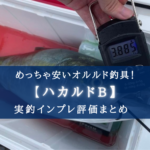 【ただ安いだけ?】オルルド釣具 ハカルドBの使い方&実釣インプレ評価【せめて防水性は…】