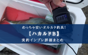 【ただ安いだけ?】オルルド釣具 ハカルドBの使い方&実釣インプレ評価【せめて防水性は…】