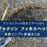 【アシストフック付きジグ!】フィネスヘッドの実釣インプレ評価まとめ!【Zシステム…?】