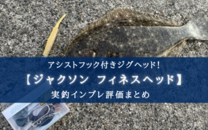 【アシストフック付きジグ!】フィネスヘッドの実釣インプレ評価まとめ!【Zシステム…?】
