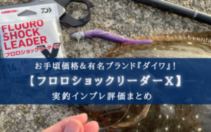 【お手頃価格！】ダイワのフロロショックリーダーXの実釣インプレまとめ