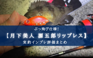 【メバル特攻!】ダイワ 月下美人 源五郎の実釣インプレ評価【使い方&おすすめカラーも!】