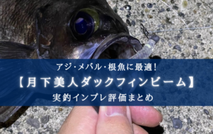 【アジ・メバルに！】月下美人ダックフィンビームの実釣インプレ評価【使い方＆おすすめカラー】