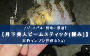 【アジ・メバルに!】月下美人ビームスティック(極み)の実釣インプレ評価【使い方&おすすめカラー】