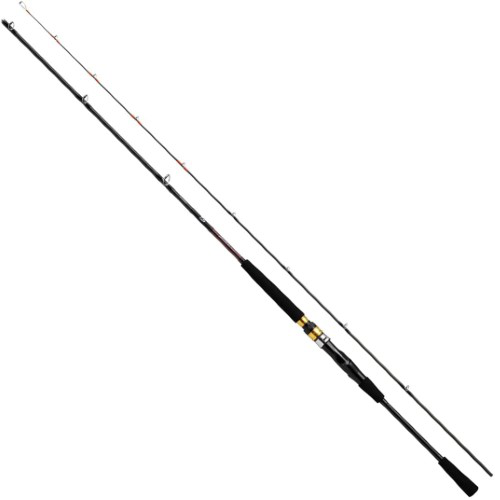 DAIWA - ダイワ(DAIWA) 船竿 ビシアジX MH-170 釣り竿 Amazon | ダイワ(DAIWA) 船竿 アナリスターライトアジ 170