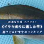 【2025年】イサキ釣り(船)の竿 おすすめランキング14選【選び方・代用ロッドも!】