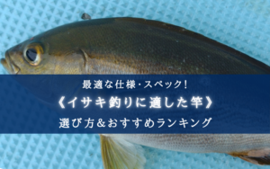 【2025年】イサキ釣り（船）の竿 おすすめランキング14選【選び方・代用ロッドも！】