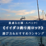 【2025年】イイダコ釣りの竿おすすめランキン11選【代用ロッド&選び方徹底解説!】