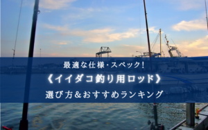【2025年】イイダコ釣りの竿おすすめランキン11選【代用ロッド＆選び方徹底解説！】