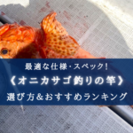 【2025年】オニカサゴ釣りの竿 おすすめランキング17選【代用竿・選び方徹底解説!】
