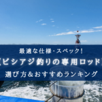 【2025年】ビシアジ釣りのロッド おすすめランキング12選【代用竿・選び方徹底解説!】