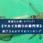 【2025年】マルイカ釣りに適した竿 おすすめ16選【選び方・代用ロッドも!】
