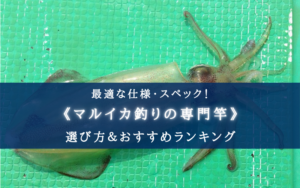 【2025年】マルイカ釣りに適した竿 おすすめ16選【選び方・代用ロッドも！】