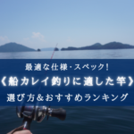 【2025年】船カレイ釣りに適した竿 おすすめランキング14選【代用竿・選び方徹底解説!】
