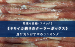 【2025年】ヤリイカの船釣り用クーラーボックス おすすめ16選【コスパ重視！選び方も徹底解説】