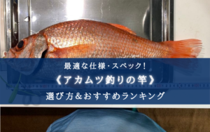 【2025年】アカムツ釣りの竿 おすすめランキング17選【代用竿・選び方徹底解説!】