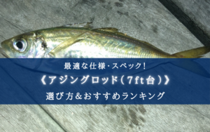 【2025年】アジングロッド（7ft台）おすすめランキング17選【コスパ・性能重視！】