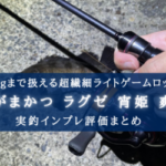 ラグゼ 宵姫 爽 ほぼ未使用 - ロッド