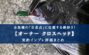 【折れやすい気が…】クロスヘッド（Xヘッド）の実釣インプレ評価！