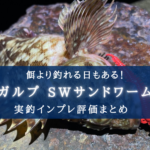 【餌より釣れる!?】ガルプ SWサンドワームの実釣インプレ評価 【使い方まとめ】