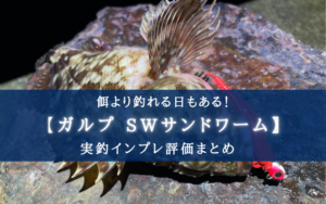【餌より釣れる!?】ガルプ SWサンドワームの実釣インプレ評価 【使い方まとめ】