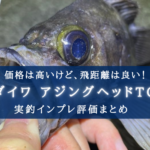 【他に比べて高いけど…?】ダイワ アジングヘッドTGの実釣インプレ評価!