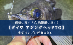 【他に比べて高いけど…?】ダイワ アジングヘッドTGの実釣インプレ評価!