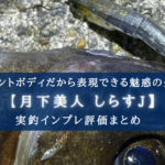 【ジョイント式ボディ…？】月下美人 しらすJの実釣インプレ評価【釣れんの…？】