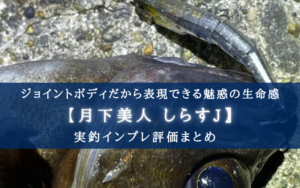 【ジョイント式ボディ…?】月下美人 しらすJの実釣インプレ評価【釣れんの…?】
