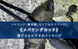 【2025年】メバリングロッド(ハイエンド)おすすめランキング14選【選び方徹底解説】