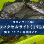 【小型&頑丈!】シマノ フィクセルライト(17L)の実釣インプレ【入門クーラーボックス!】