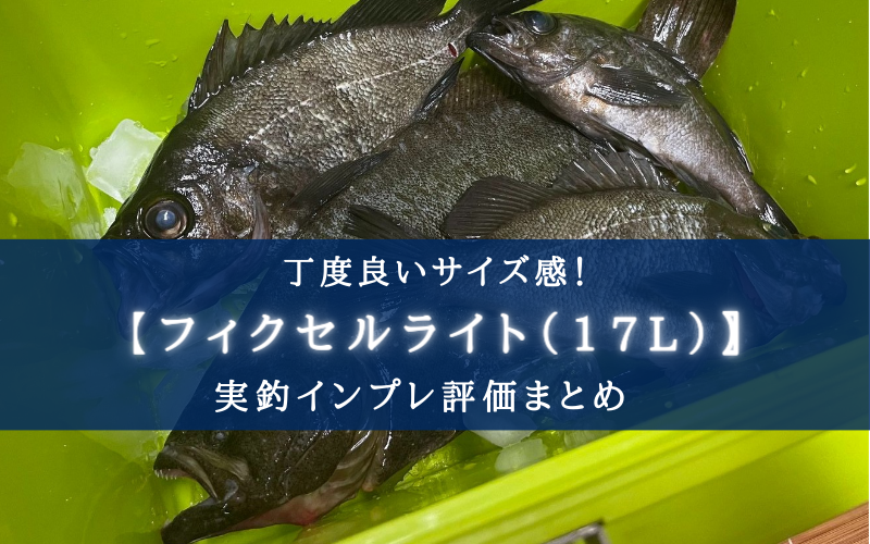 【小型＆頑丈！】シマノ フィクセルライト(17L)の実釣インプレ【入門クーラーボックス！】