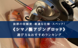 【コスパ最強電動リール？】シマノ プレイズ600の実釣インプレ評価